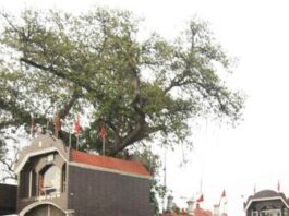 mata rani ka mandir