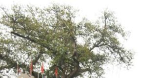 mata rani ka mandir