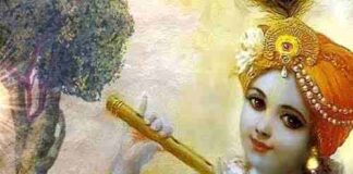 जीवन को उत्सव की तरह जीना सिखाते श्री कृष्ण