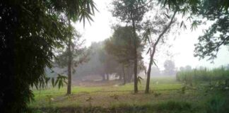 mehandipur balaji - खेत के भूत की सच्ची कहानी